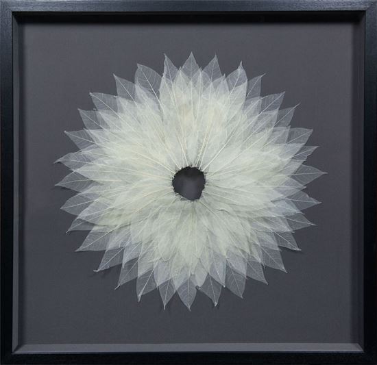 Picture of Magnolia Tree Leaves Blossom Shadow Box Wall Décor (MS9T386) 31.50" L x 31.50" H x 3.20" W
