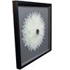 Picture of Magnolia Tree Leaves Blossom Shadow Box Wall Décor (MS9T386) 31.50" L x 31.50" H x 3.20" W