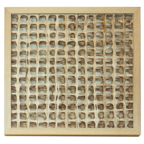 Picture of Papier-mâché Tree Root Shadow Box (MS20483C) 17.32" L x 17.32" H