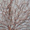 Picture of Copper Tree Shadow Box (MS24299I) 19.69" L x 19.69" H