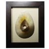 Picture of Golden Tear Drop Shadow Box (MS9316B) 34.25" L x 28.35" H
