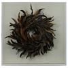 Picture of Feather Nest Shadow Box Wall Décor (MS36540B) 23.62" L x 23.62" H