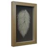 Picture of A Leaf of Leaves Shadow Box Wall Décor (MS35892) 17.72" L x 25.98" H