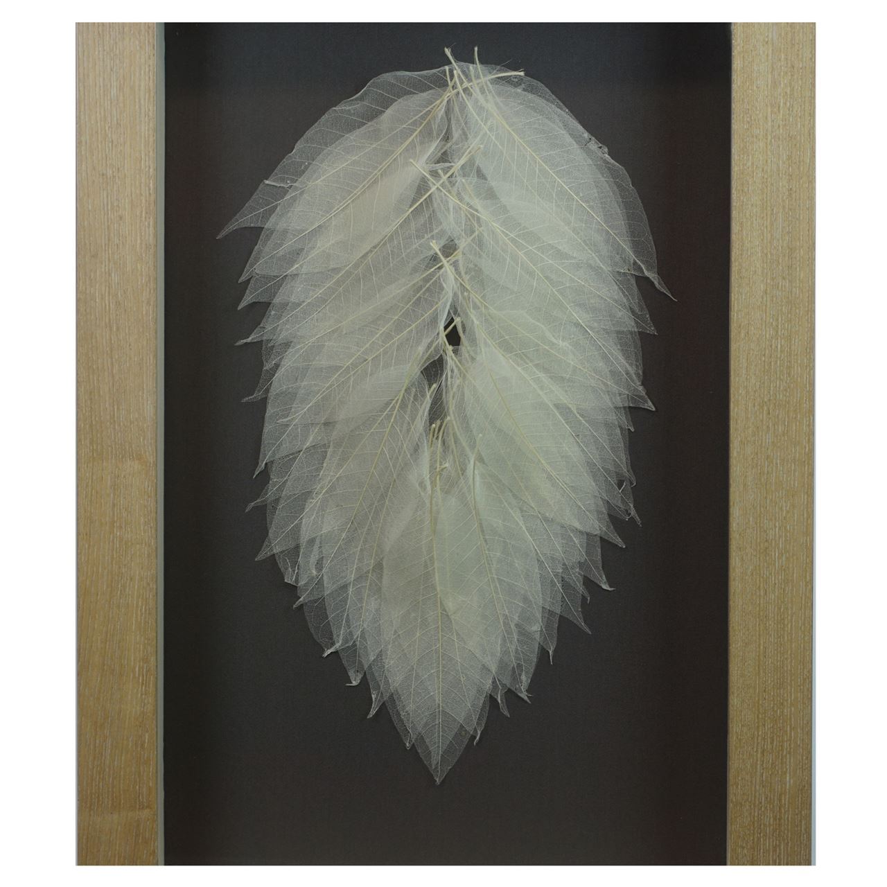 Huji Home Products. A Leaf of Leaves Shadow Box Wall Décor (MS35892) 17