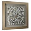 Picture of Oyster Cluster Shadow Box Wall Décor (MS30149B) 23.62" L x 23.62" H