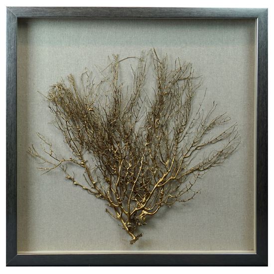 Picture of Tree Roots Shadow Box Wall Décor (MS24299D) 19.69" L x 19.69" H