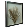 Picture of Tree Roots Shadow Box Wall Décor (MS24299D) 19.69" L x 19.69" H