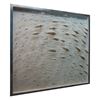 Picture of Fishes In Motion Shadow Box Wall Décor (MS39390A) 39.37" L x 39.37" H