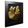 Picture of Golden Mushroom Shadow Box Wall Décor (MS24839B) 28.35" L x 34.25" H