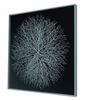 Picture of Tree Roots Shadow Box Wall Décor (MS56022B) 31.50" L x 31.50" H