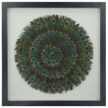 Picture of Peacock Feather Shadow Box Wall Décor (MS25283)  35.43” x 35.43”
