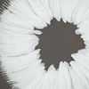 Picture of White Feather Wreath Shadow Box Wall Décor  (MS39206) 31.50” x 31.50”