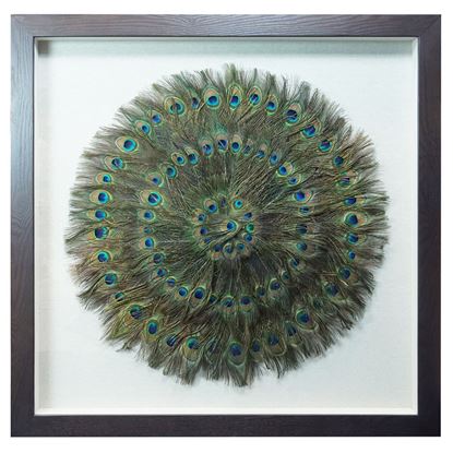 Picture of Peacock Feather Shadow Box Wall Décor (MS45201)  35.43” x 35.43”