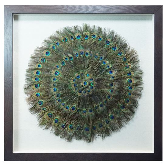 Picture of Peacock Feather Shadow Box Wall Décor (MS45201)  35.43” x 35.43”