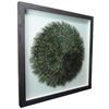 Picture of Peacock Feather Shadow Box Wall Décor (MS45201)  35.43” x 35.43”
