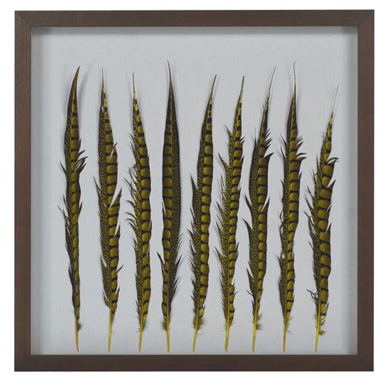 Picture of Golden Pheasant Feather Shadow Box Wall Décor (MS55848) 23.62" x 23.62"