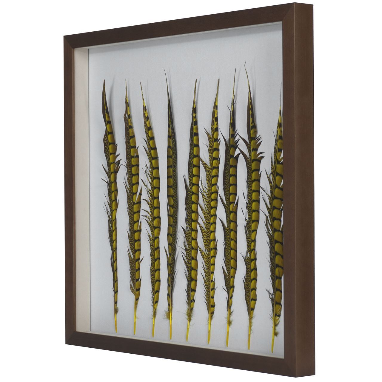 Huji Home Products. Golden Pheasant Feather Shadow Box Wall Décor