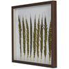 Picture of Golden Pheasant Feather Shadow Box Wall Décor (MS55848) 23.62" x 23.62"