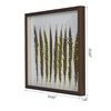 Picture of Golden Pheasant Feather Shadow Box Wall Décor (MS55848) 23.62" x 23.62"