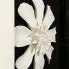 Picture of Porcelain Flower Shadow Box Wall Décor (MS36977A) 23.62" L x 23.62" H
