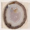 Picture of Assorted Agate Slice Shadow Box Wall Décor  (MS56012C) 23.62" L x 23.62" H