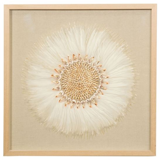 Picture of Feather & Shell Wreath Shadow Box Wall Décor (MS56021) 31.50" L x 31.50" H