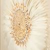 Picture of Feather & Shell Wreath Shadow Box Wall Décor (MS56021) 31.50" L x 31.50" H