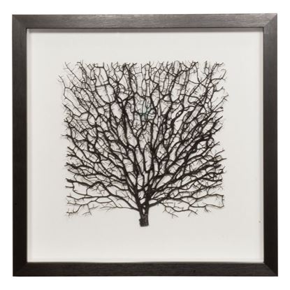 Picture of Withered Tree Shadow Box Wall Décor (MS56034A) 19.69" L x 19.69" H