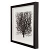 Picture of Withered Tree Shadow Box Wall Décor (MS56034A) 19.69" L x 19.69" H