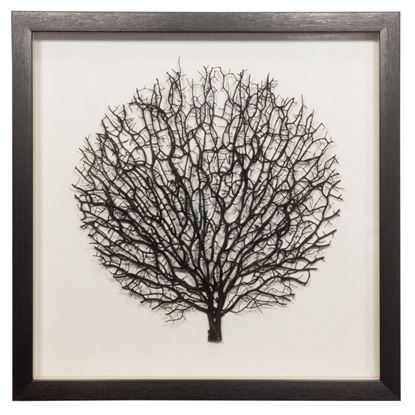 Picture of Withered Tree Shadow Box Wall Décor (MS56034B) 19.69" L x 19.69" H