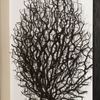 Picture of Withered Tree Shadow Box Wall Décor (MS56034B) 19.69" L x 19.69" H