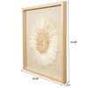 Picture of Feather & Shell Wreath Shadow Box Wall Décor (MS56021) 31.50" L x 31.50" H