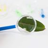 Picture of HUJI Plastic Magnifying Glasses for Children's Party Favors - HJ331