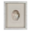 Picture of Abalone & Pearl Shell Shadow Box Wall Décor (2 Piece Set) (MS18023C/D) 14.17” L x 14.17” H