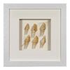 Picture of Sea Shell Shadow Box Wall Décor (2 Piece Set) (MS12135CP/DP) 11.81” L x 11.81” H