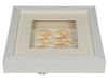 Picture of Sea Shell Shadow Box Wall Décor (2 Piece Set) (MS12135CP/DP) 11.81” L x 11.81” H