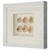 Picture of Sea Shell Shadow Box Wall Décor (2 Piece Set) (MS12135CP/DP) 11.81” L x 11.81” H