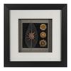 Picture of Land & Sea Shadow Box Wall Décor (2 Piece Set) (MS14195AP/BP) 11.81” L x 11.81” H