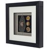 Picture of Land & Sea Shadow Box Wall Décor (2 Piece Set) (MS14195AP/BP) 11.81” L x 11.81” H