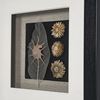 Picture of Land & Sea Shadow Box Wall Décor (2 Piece Set) (MS14195AP/BP) 11.81” L x 11.81” H
