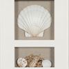Picture of Sea Shell Beach Shadow Box Wall Décor (2 Piece Set) (MS17376BP/CP) 11.81” L x 11.81” H