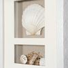 Picture of Sea Shell Beach Shadow Box Wall Décor (2 Piece Set) (MS17376BP/CP) 11.81” L x 11.81” H