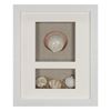 Picture of Sea Shell Beach Shadow Box Wall Décor (2 Piece Set) (MS17376BP/CP) 11.81” L x 11.81” H