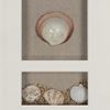 Picture of Sea Shell Beach Shadow Box Wall Décor (2 Piece Set) (MS17376BP/CP) 11.81” L x 11.81” H