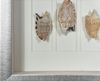 Picture of Sea Shell Shadow Box Wall Décor (2 Piece Set) (MS18027A/B) 11.81” L x 11.81” H