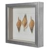 Picture of Sea Shell Shadow Box Wall Décor (2 Piece Set) (MS18027A/B) 11.81” L x 11.81” H