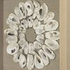 Picture of Sea Shell Rings Shadow Box Wall Décor (2 Piece Set)  (MS47196A/B) 14.17” L x 14.17” H