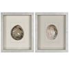 Picture of Yudeco Abalone & Pearl Shell Shadow Box Wall Décor (2 Piece Set) (MS18023C/D) 14.17” L x 14.17” H
