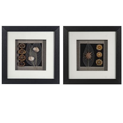 Picture of Land & Sea Shadow Box Wall Décor (2 Piece Set) (MS14195AP/BP) 11.81” L x 11.81” H