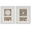 Picture of Sea Shell Beach Shadow Box Wall Décor (2 Piece Set) (MS17376BP/CP) 11.81” L x 11.81” H